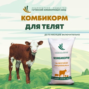 КК 62 Для телят (до 4х мес. включительно)