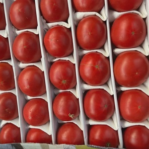 Помидоры Узбекистан