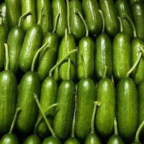 Огурцы Бакинские