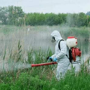 Ларвицидная обработка