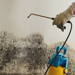 Борьба с грибком