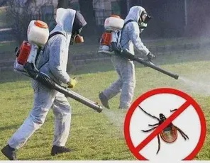 Акарицидная обработка