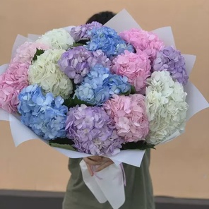 Монобукет из гортензии 50см 15шт
