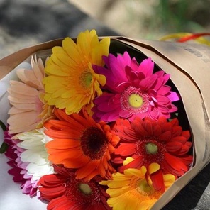 Букет разноцветных гербер