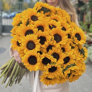 101 Подсолнух