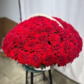 Корзина из 101 Французской розы