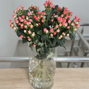 Букет из 25 розового гиперикума