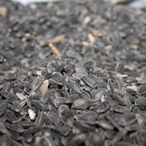 Семя Подсолнечника 30кг