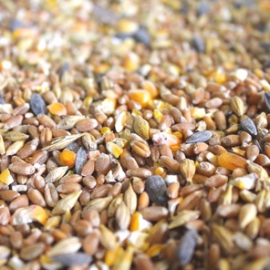Зерносмесь