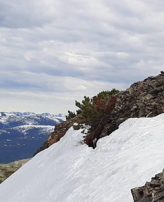 65cbea12-0b73-484d-b1ec-9c55d32fde37-whatsapp image 2025-11-06 at 20.33.25 (1).jpeg