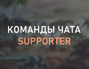 Чат команды для владельцев Supporter Pack.