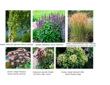 РАЗОВЫЕ КОНСУЛЬТАЦИИ