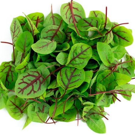 Бэби листья