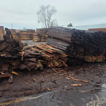 Обрезки термодерево - длинные (горбыль)