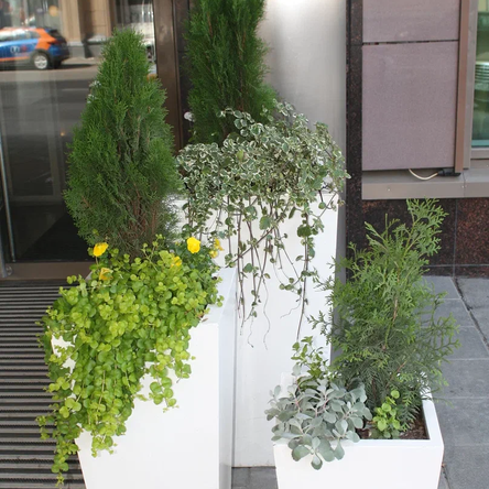 Уличное озеленение террас, веранд, садов на крыше