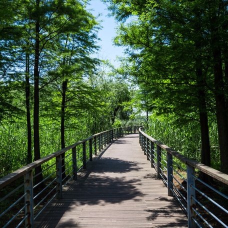 Тропа к Морю