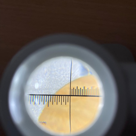 Представительство владельца при ремонте и окраске яхты