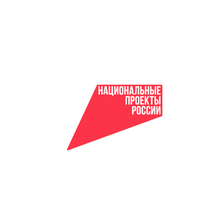 Программа "Национальные Проекты России"