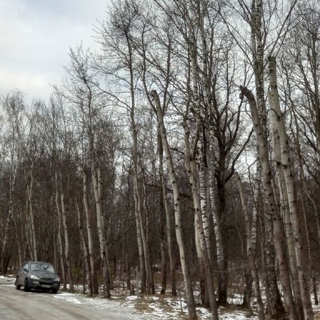 Денежные средства тратятся в режиме самоуправства