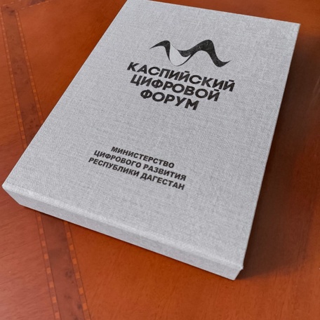 Министерство цифрового развития Республики Дагестан