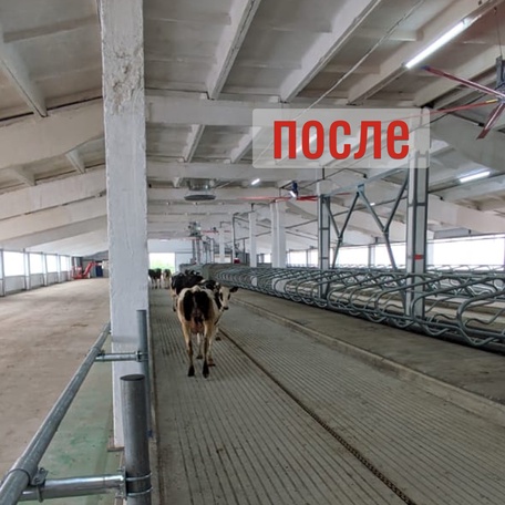 Реконструкция зданий и сооружений