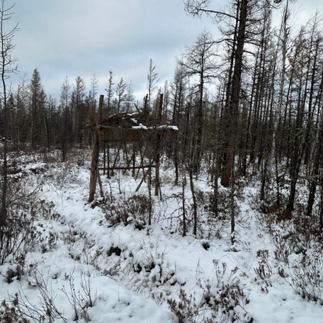 Программа