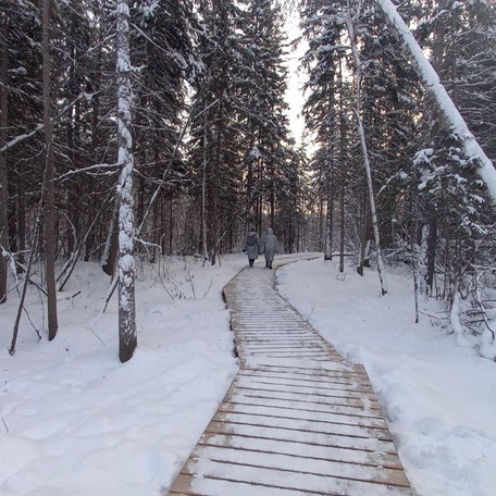 Программа