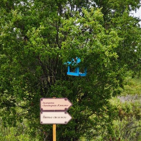 Программа
