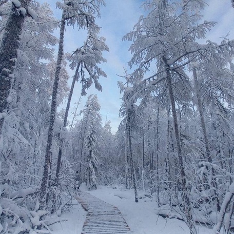 Программа