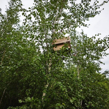 Программа