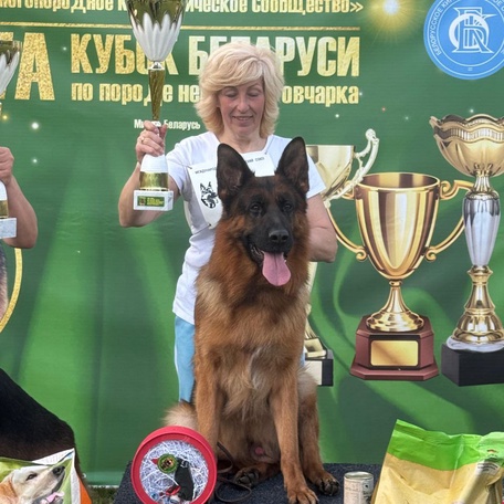 3VA Кубок Беларуси 2025