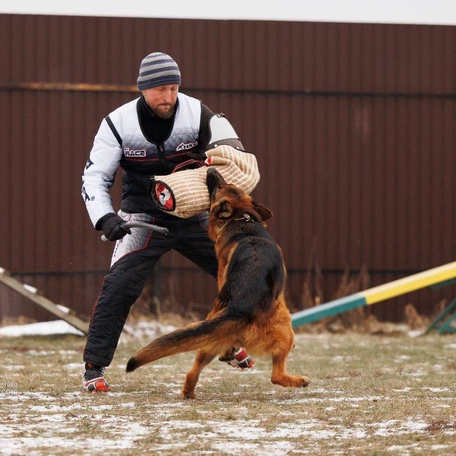 Ирендорф Жофрей