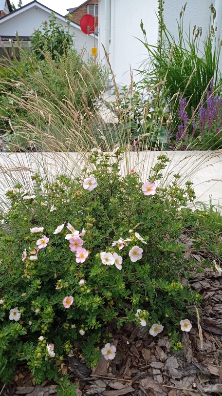 Отпусти свой сад на волю!