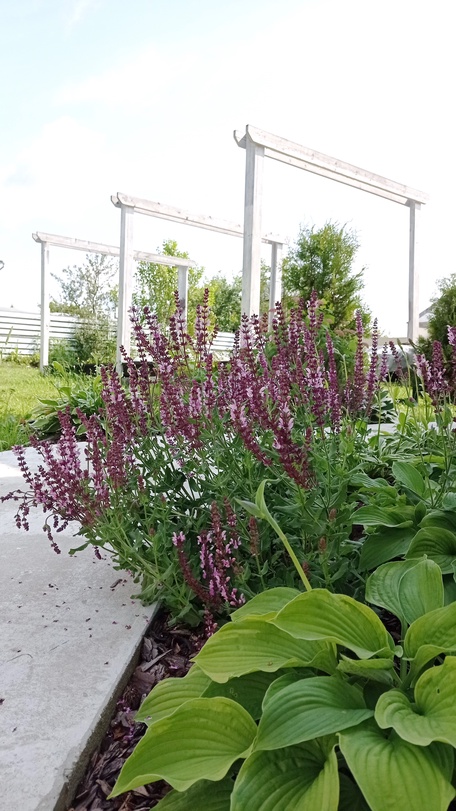 Отпусти свой сад на волю!