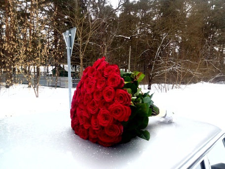 Нет повода не радовать близких людей!