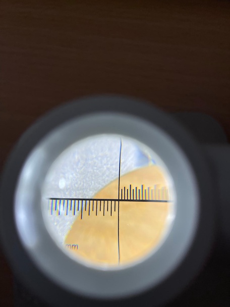 Представительство владельца при ремонте и окраске яхты
