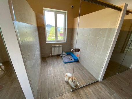 Спокойствие