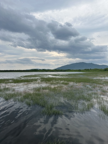 Прогулка/Рыбалка на комфортабельной аэролодке "Аллигатор"