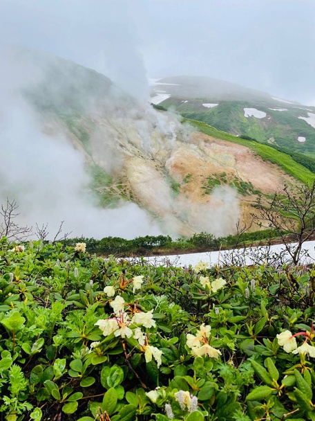 Малая долина гейзеров + водопад Спокойный + купание в диких источниках