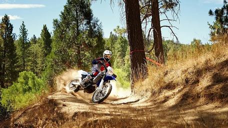 Свобода и адреналин