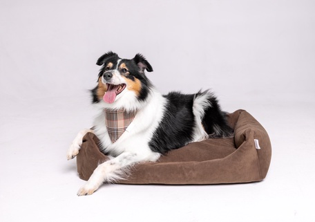 Лежанки и матрасы