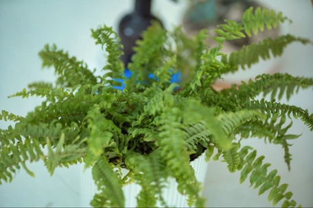 Онлайн консультация