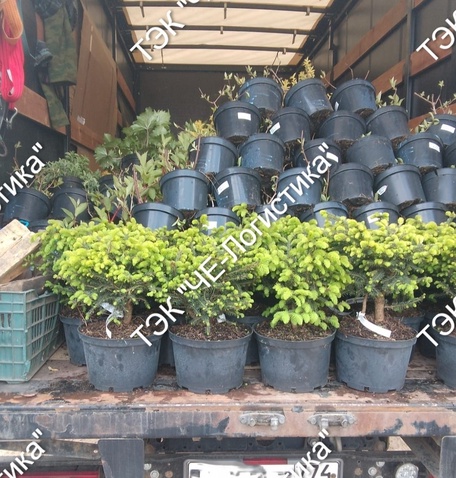 Грузоперевозки по России