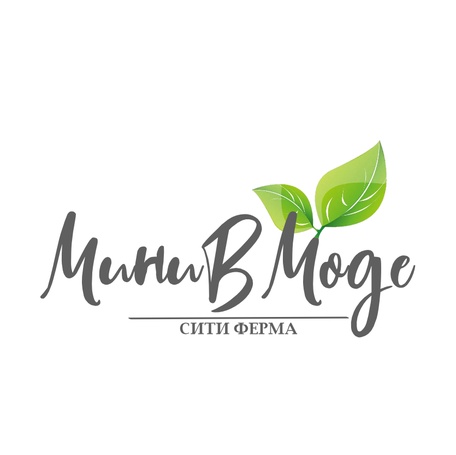 Привет, друзья!