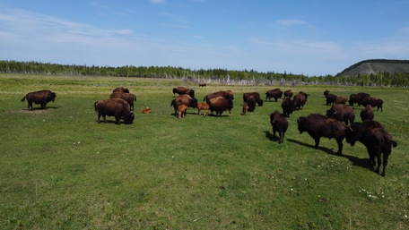 3 день: 24 июня 2026 г.