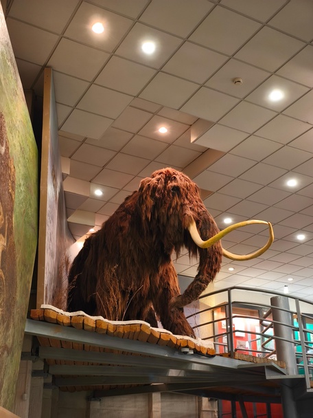 1 день: 24 ноября