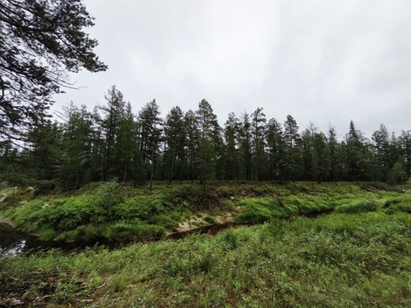 4 день: 25 июня 2026 г.