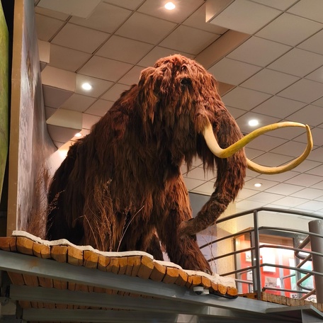 Обзорная экскурсия по городу Якутску.
1 день: 24 марта 2026 г.