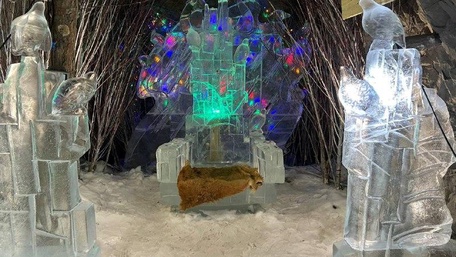 Оймякон-Полюс Холода
5 день: 28 марта 2026 г.