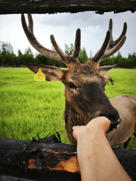 3 день: 24 июня 2026 г.
